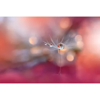 Plakát Plakát, Obraz - Colors of Love…, Juliana Nan