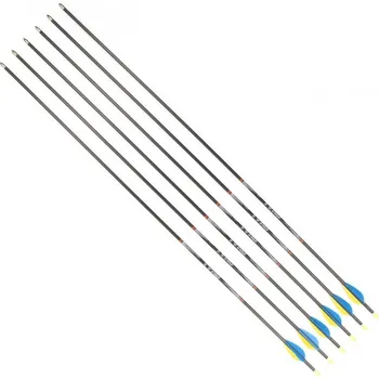 Sportovní střelba DISPORT Mixx 32/1200 karbon 6 ks šípy