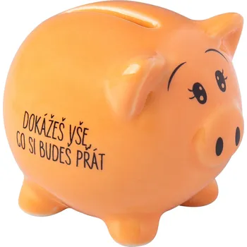 Pokladnička Prasátko - Dokážeš vše - Albi