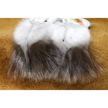 Peří Coq de Leon Indio Colgaderas Medio