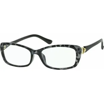 Brýle na čtení Dioptrické čtecí brýle 2R03CS +1,0D