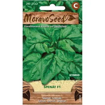 Semeno Semínka MoravoSeed Špenát setý F1 - hybrid 66604