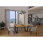 Falco Jídelní stůl CYRIL 67x138, artisan/černý kov