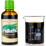 Bylinné kapky s.r.o. Křídlatka bylinné…