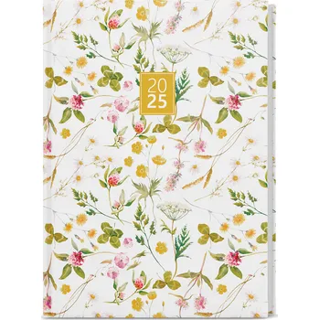 Diář Baloušek Tisk David Lamino A5 denní 2025