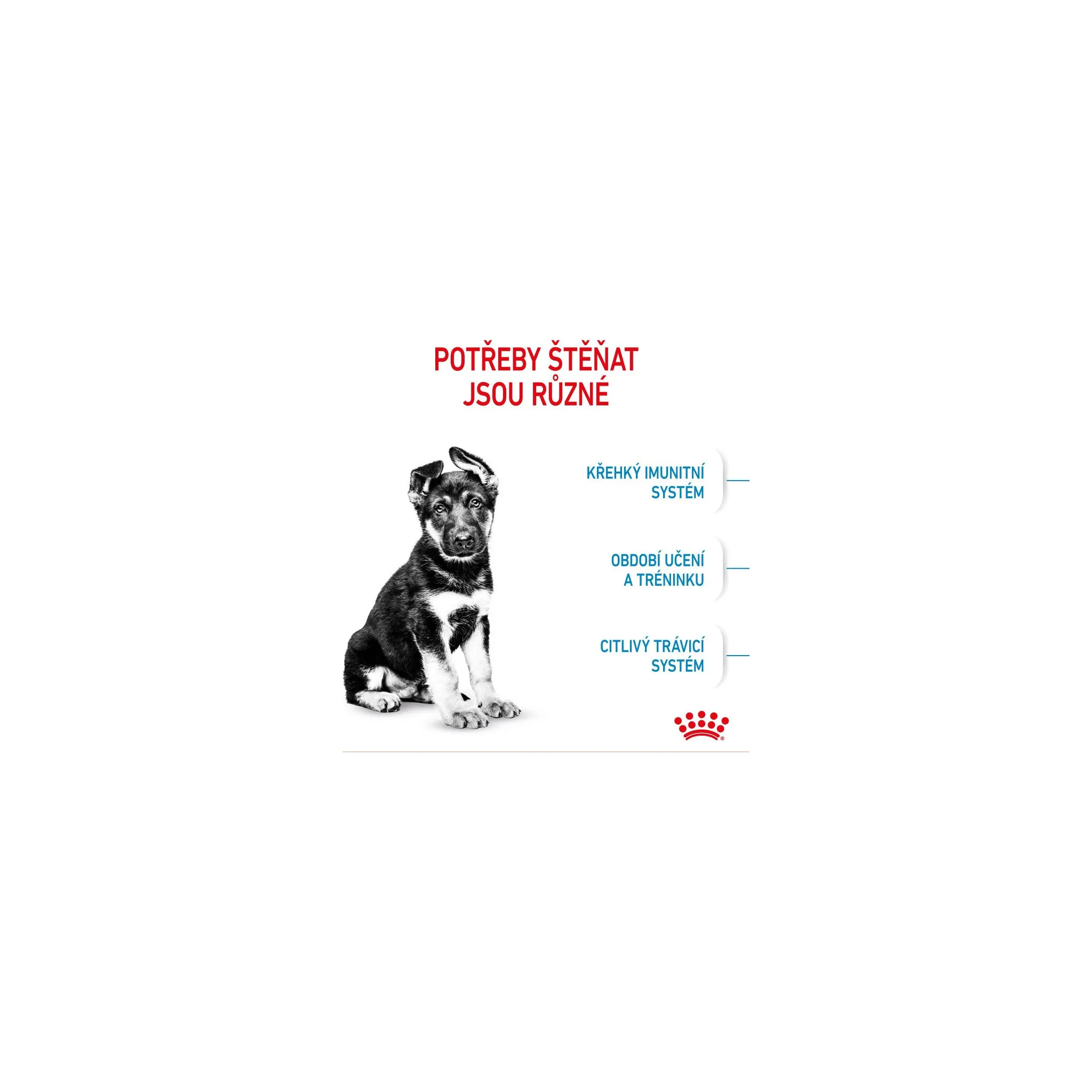 Fotografie 12 - Krmivo pro psa Royal Canin Maxi Puppy Poultry 15 kg