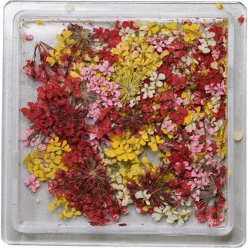 DENATO s.r.o. Sušené květy 15