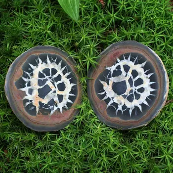 Septárie (dračí vejce) pár mix