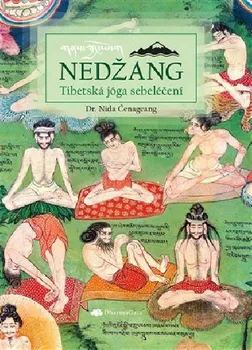 Nedžang: Tibetská jóga sebeléčení - Nida Čenagcang (2024, pevná)