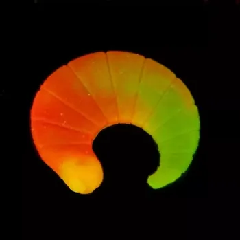 SAENGER Gumové nástrahy Iron Trout Coda Vzor YOR