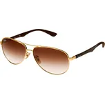 Ray Ban Pánské sluneční brýle RB8313 001/51 61