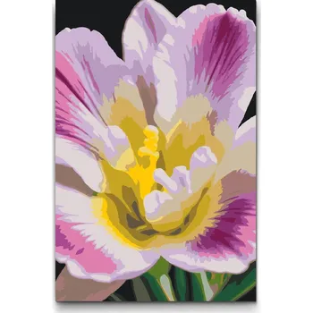 Malování podle čísel - Květ fresie Velikost: 20x30cm, Rámování: Pouze srolované plátno