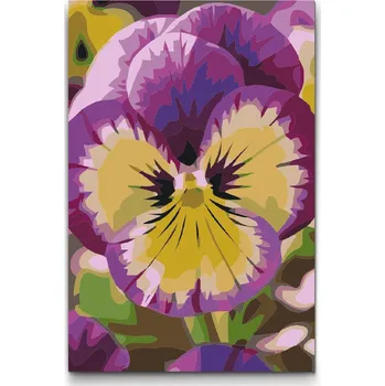 Malování podle čísel - Květ macešky Velikost: 20x30cm, Rámování: Pouze srolované plátno