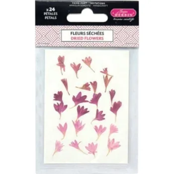 Herbin Sušené lisované květiny (24ks) růžové