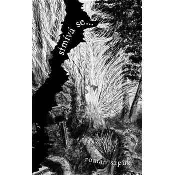 Stmívá se… - Roman Szpuk