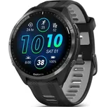 Garmin Forerunner 965 Black / Powder Gray