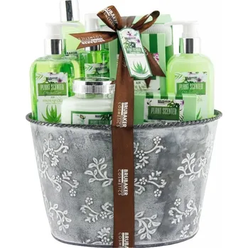 Kosmetická sada Brubaker Dárková kazeta v květináči - Aloe Vera