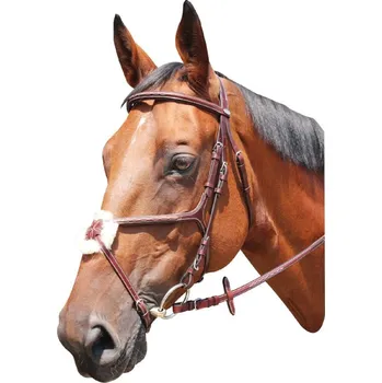 Sport Kentaur Uzdečka pro koně KNOXVILLE Velikost: Cob, Varianta: Černá + stříbrné kování