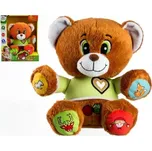Teddies Mluvící medvídek Vojtík