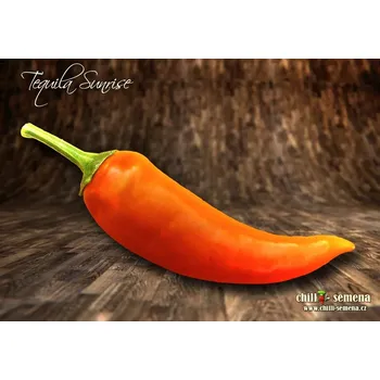 Semeno chilli-semena Tequila Sunrise