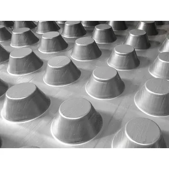 Hydroizolace Gutta Nopová folie Guttabeta T40 Varianta: 2 x 1,5 m