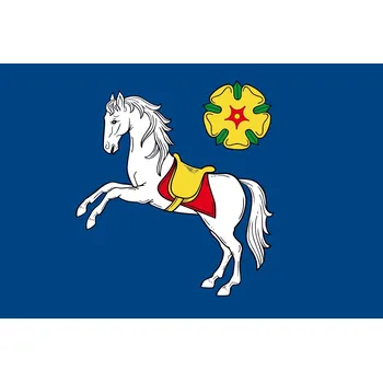 Vlajka vlajka Ostravy - 60 x 90 cm - tunel, karabina