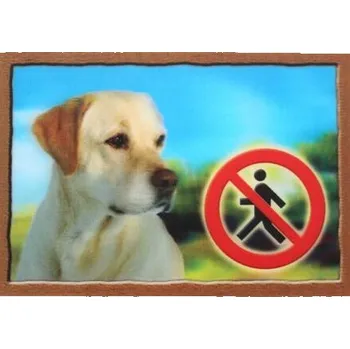 Plechová cedule Cedulka 3D PSI, Zlatý retrivr