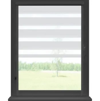 Roleta Dekodum Roleta den a noc v antracitové kazetě soft, barva látky Bílá Šířka (cm): 101, Výška (cm): Standardní (do 150 cm), Strana mechanismu: Levá