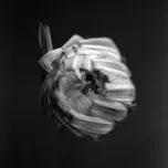 An Empire / Viyl / 2LP - Swarm Of The Sun [2 LP]