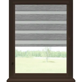 Roleta Dekodum Roleta den a noc v hnědé kazetě zatemňovací, barva látky Stříbrná Šířka (cm): 100, Výška (cm): Standardní (do 150 cm), Strana mechanismu: Levá