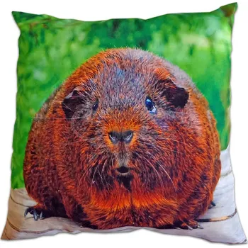 Pro hlodavce Polštářek malý (Barva: vzor 10)