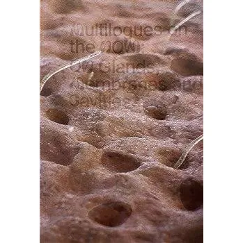 Cizojazyčná kniha Multilogues on the Now: On Glands, Membranes and Cavities