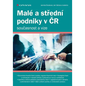Malé a střední podniky v ČR – současnost a vize
