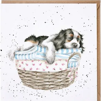 Přání 15 x 15 cm "Wash, dry, fold" Wrendale Designs - pes v koši s prádlem