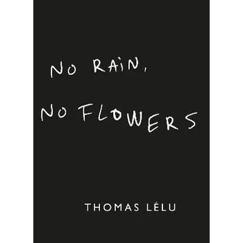 Cizojazyčná kniha No Rain, No Flowers
