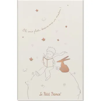 Blok Moleskine Malý princ Sběratelská sada - nedatovaný diář a linkovaný zápisník L, v dárkové