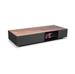 Cambridge Audio EVO ONE