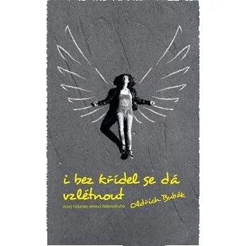 Poezie I bez křídel se dá vzlétnout