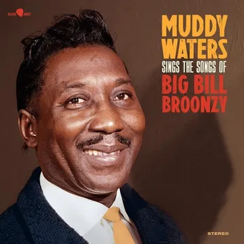 Zahraniční hudba LP Muddy Waters - Sings The Songs Of Big Bill Bronzy