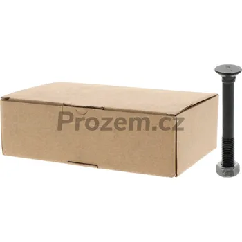 Šroub Sada šroubů pluhu s maticí 25 ks M12x1,75x100 mm, 10.9, DIN 608