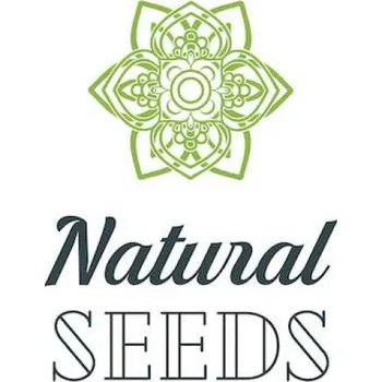 CBD Natural Medic Melon CBD fem. (balení 5)