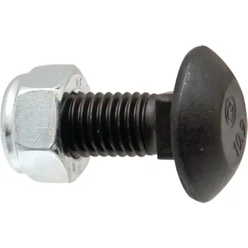 Šroub Sada šroubů pluhu 50 ks M12x30 mm, 10.9, DIN 603