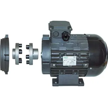 Elektromotor Ravel elektromotor s elastickou spojkou a dutou hřídelí 400 V / 9,2 kW - hřídel Ø 24mm