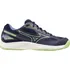 Dětská sálová obuv Mizuno Cyclone Speed 4 Junior V1GD231011, 37