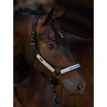 Ohlávka EQUESTRIAN STOCKHOLM Luminous Black, vel. PONY