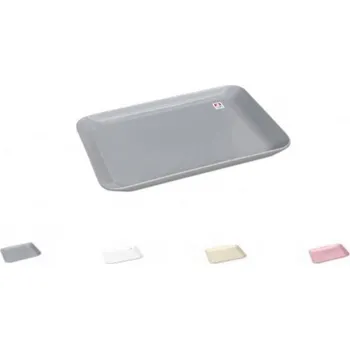 PETRAplast Plastový obdélníkový podnos 19 x 13 cm