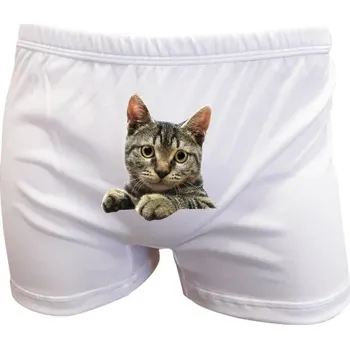 Trenýrky Trenýrky s potiskem Trenýrky s číčou pánské