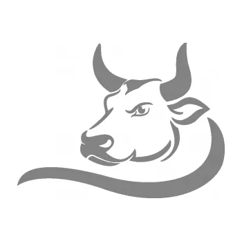 Samolepící dekorace SAMOLEPKA Býk 008 levá (17 - šedá) NA AUTO, NÁLEPKA, FÓLIE, POLEP, TUNING, VLASTNÍ TEXT, TISK, AUTOSAMOLEPKY.cz, POLEPY, OBRÁZEK, LOGO, SAMOLEPKY