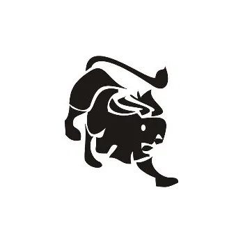 Samolepící dekorace Samolepka na zeď Znamení zvěrokruhu Lev (dekorace na zeď)