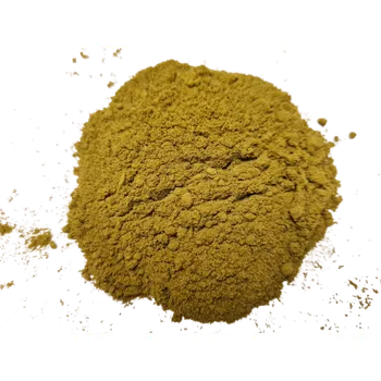 Ginkgo (Jinan list) - jemně mletý, balení 50 g